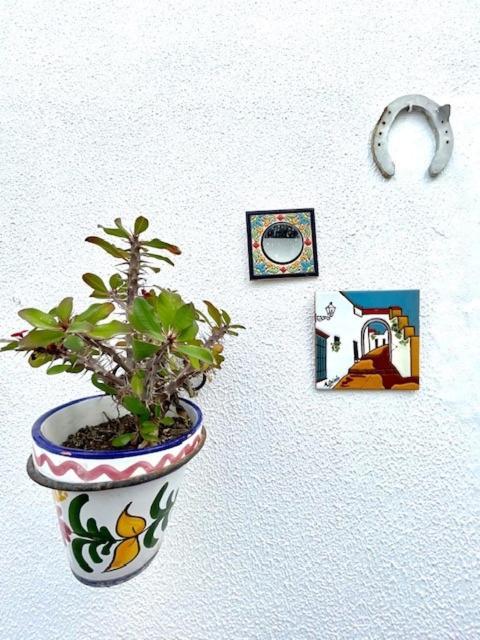 Gatu Premium Villa Patio Andaluz El Puerto de Santa María Exteriör bild
